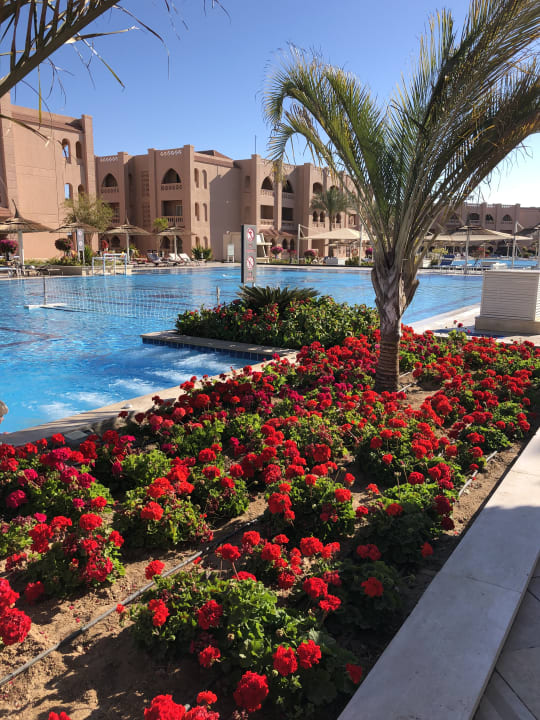 Pool Pickalbatros Aqua Vista Resort - Hurghada