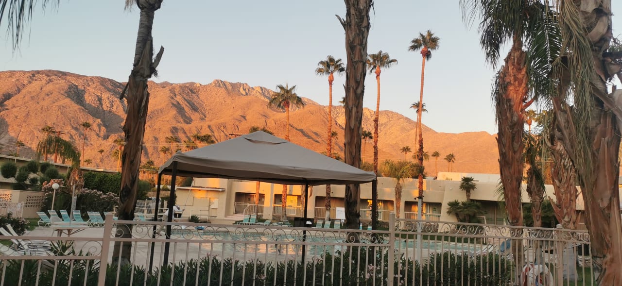 Pool Hotel Days Inn Palm Springs