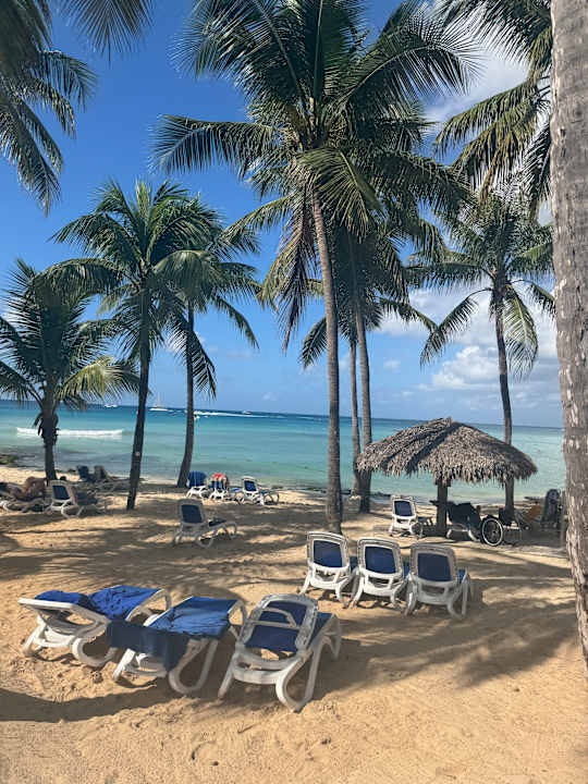 Strand Hotel Viva Dominicus Palace by Wyndham-All Inclusive Resort