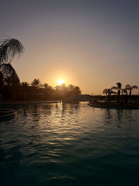 Pool Malikia Resort Abu Dabbab