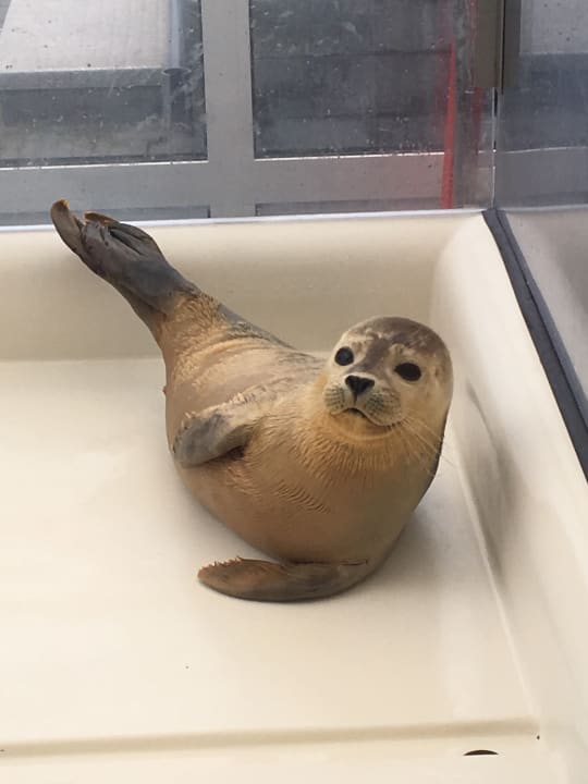Sonstiges Buitenplaats Oudendijke