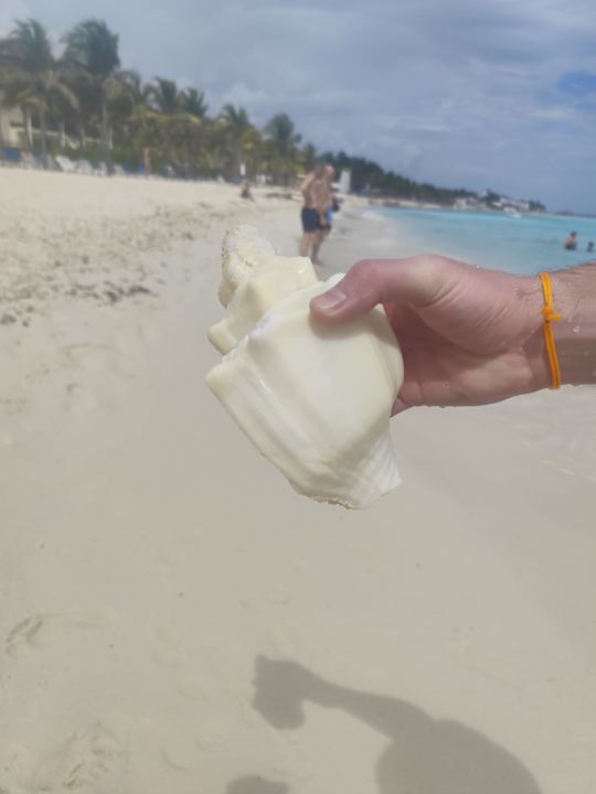 Strand Viva Azteca by Wyndham - All Inclusive Resort