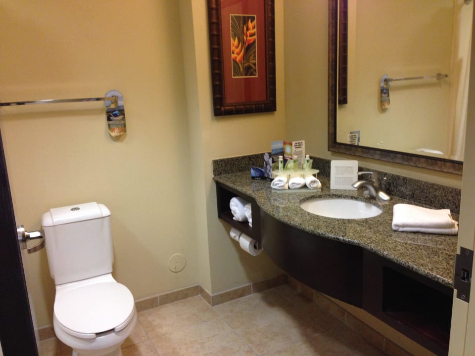 Badezimmer Holiday Inn Express Hotel & Suites Tampa USF Busch Gardens
