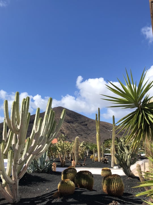 Gartenanlage Club Jandia Princess