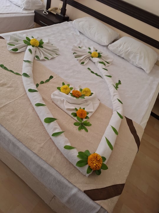 Zimmer Hotel Orfeus Park