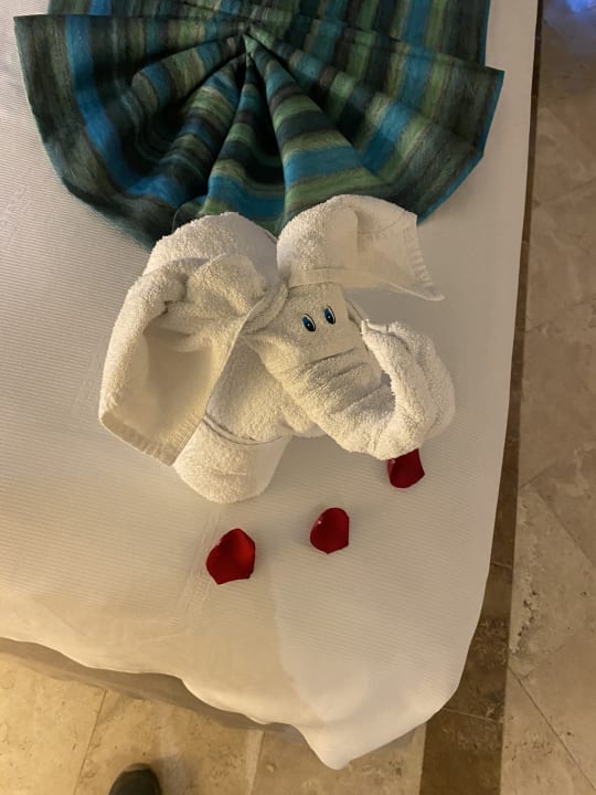 Zimmer Catalonia Royal Tulum Beach & Spa Resort - Adults only