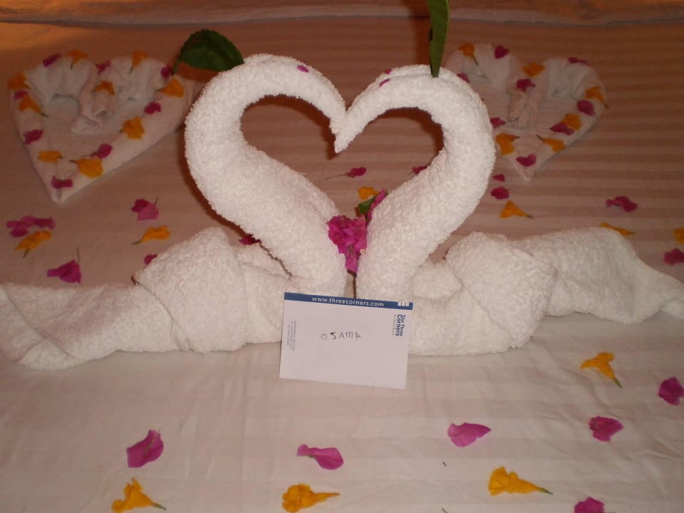 Hotel The Three Corners Sea Beach Resort Three Corners Sea Beach Resort