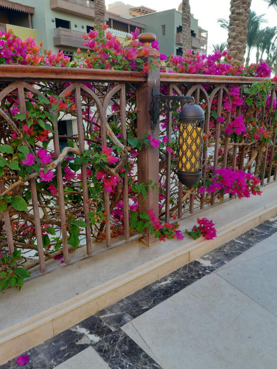 Außenansicht Makadi Spa - Adults only