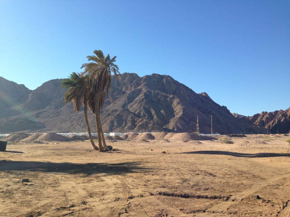 Palme Happy Life Village