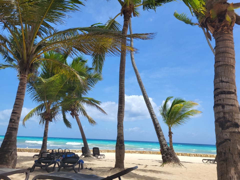 Strand Hotel Viva Dominicus Beach by Wyndham - All Inclusive Resort