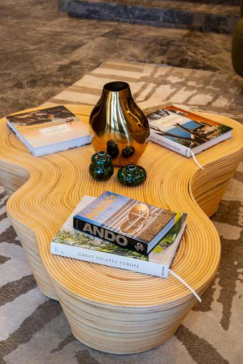 Lobby Ando Living Taksim House