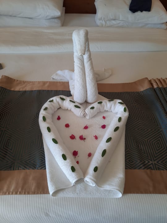 Zimmer Pickalbatros Sea World Resort - Marsa Alam