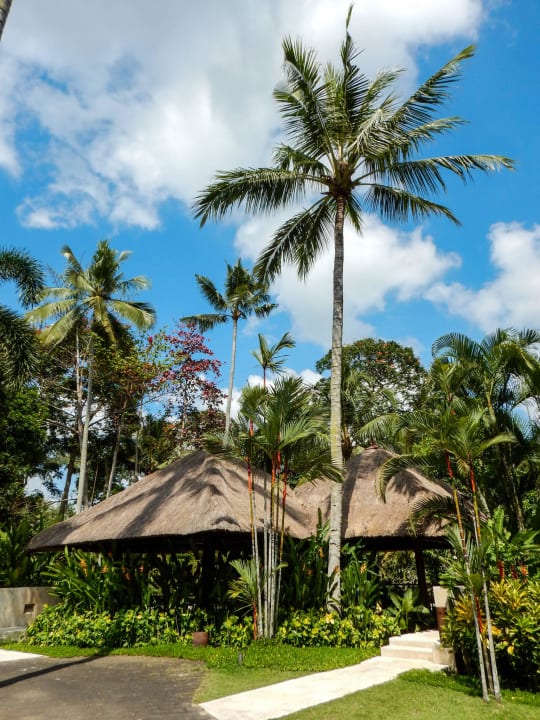 One-Bedroom Villa Nr. 26 Four Seasons Resort Bali at Sayan
