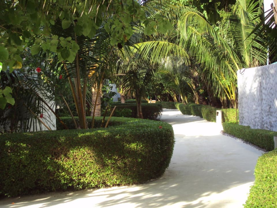 Alles gepflegt Cinnamon Dhonveli Maldives