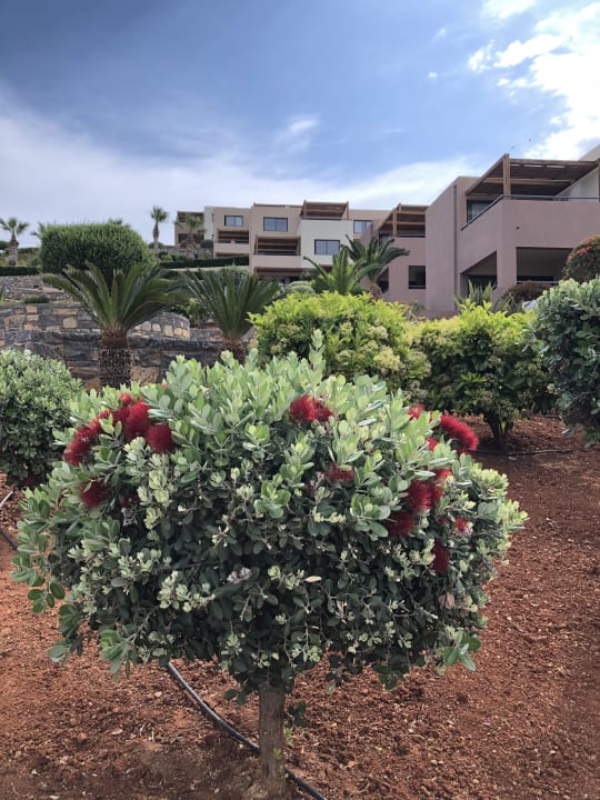 Gartenanlage Atlantica Mikri Poli Crete