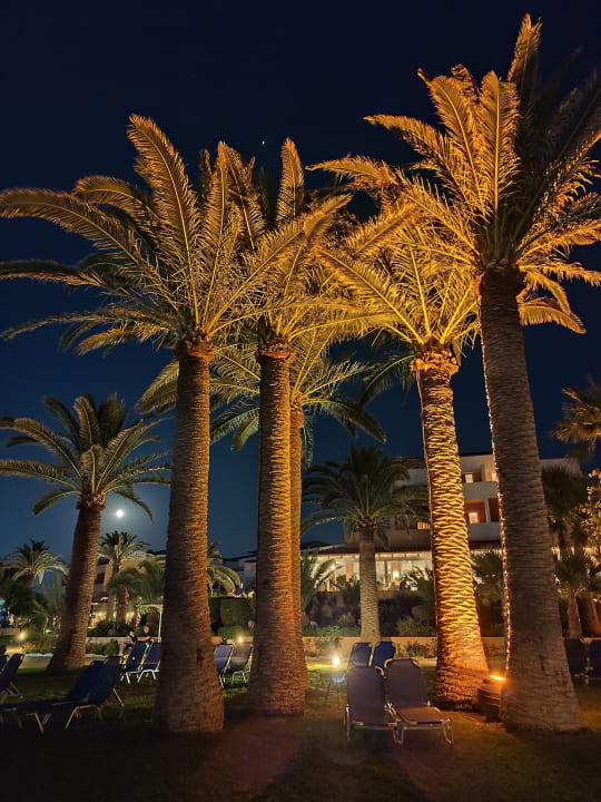 Außenansicht Anissa Beach & Village