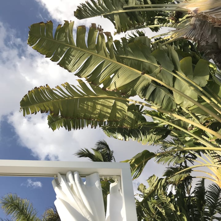 Gartenanlage Maspalomas Princess