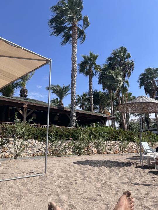 Strand Arycanda Kirman Premium