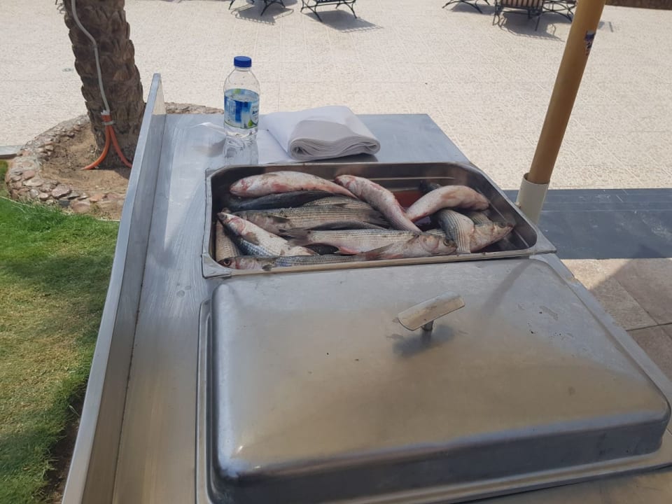 Restaurant Pickalbatros Aqua Park Resort - Hurghada