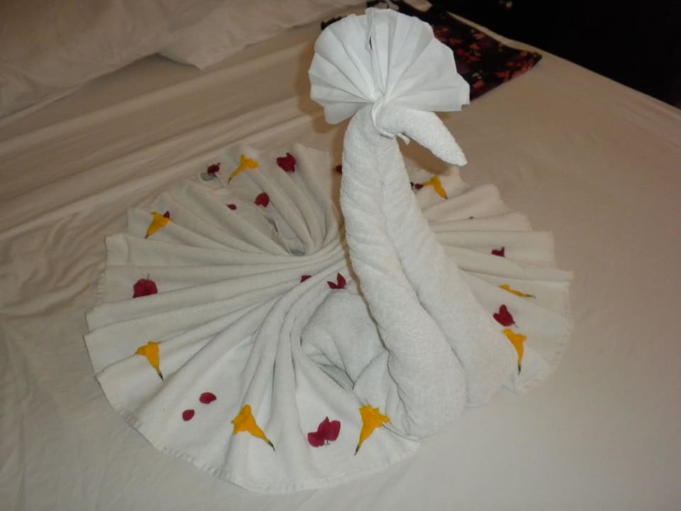 Kunstwerk vom Zimmerboy Fort Arabesque Resort, Spa & Villas