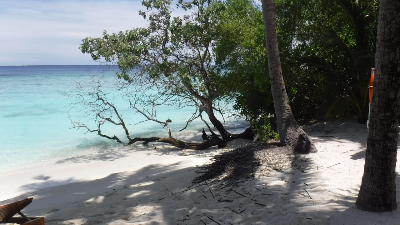 Strand Bandos Maldives