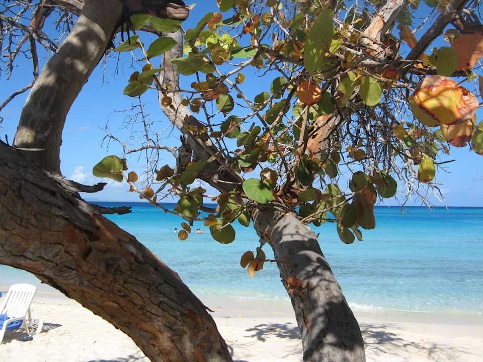 Strand Playa Costa Verde