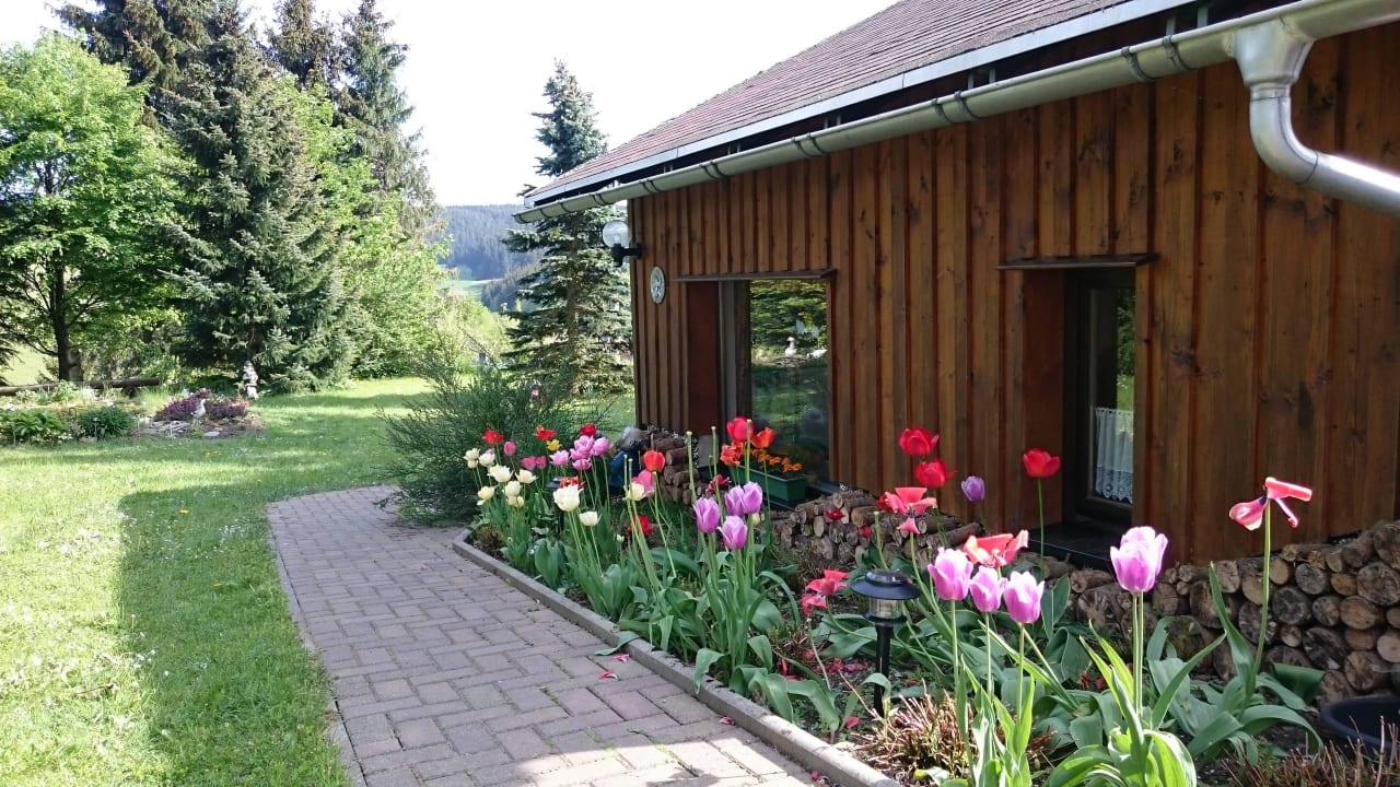 Der Weg zum Ferienhaus  Apartment Panoramablick