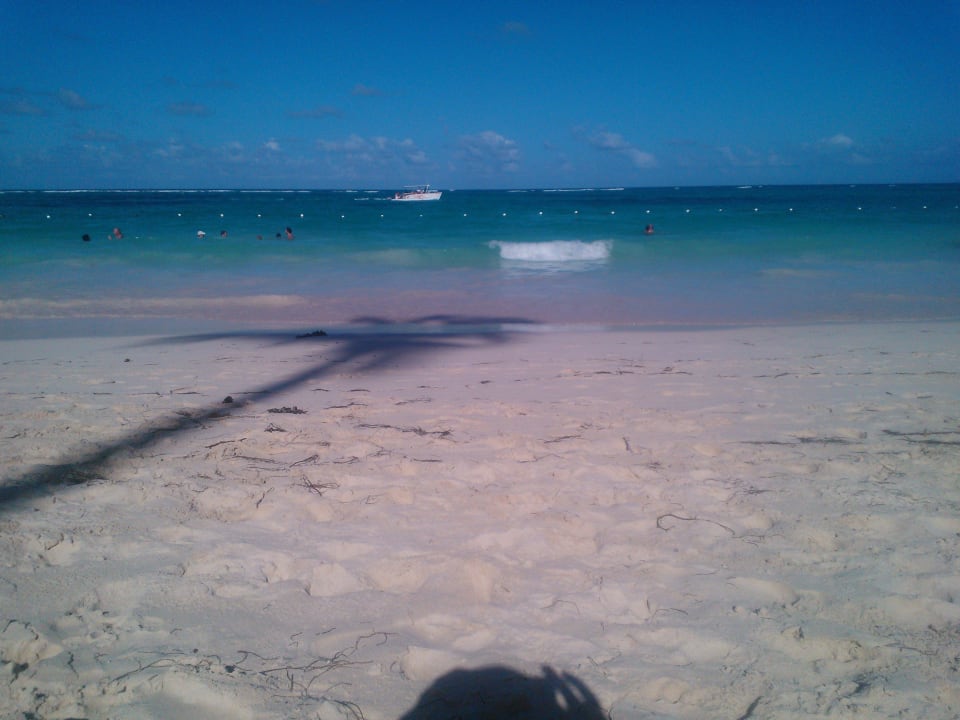 Schöner Schatten! Grand Palladium Select Bávaro Resort & Spa