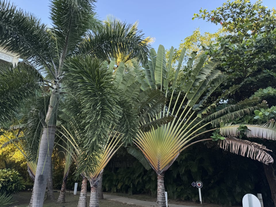 Gartenanlage Vista Sol Punta Cana