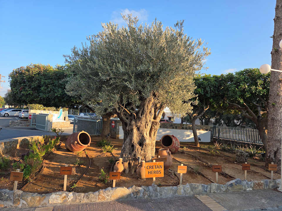 Gartenanlage Arina Beach Resort