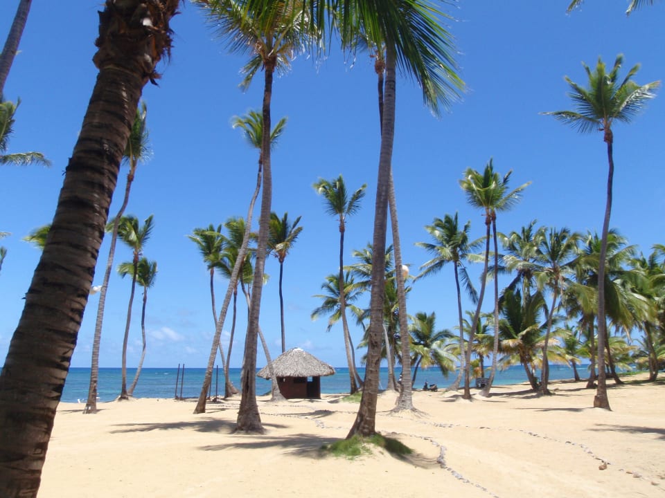 Am Strand Grand Sirenis Punta Cana Resort & Aquagames