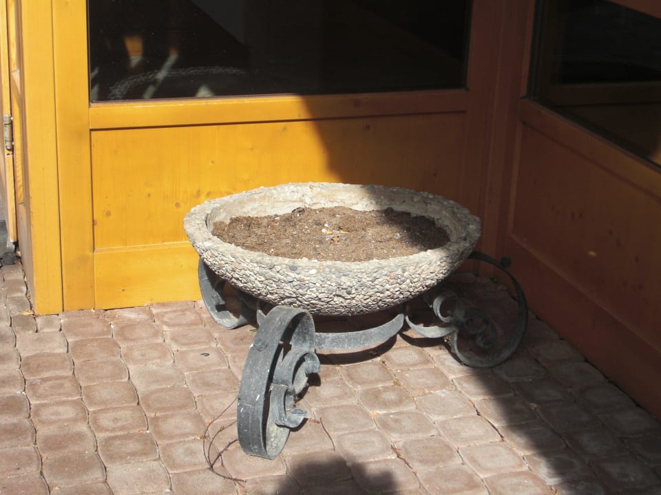 Wunderbar, dafür gab´s im Restaurant Plastikblumen Hotel Sunnbichl