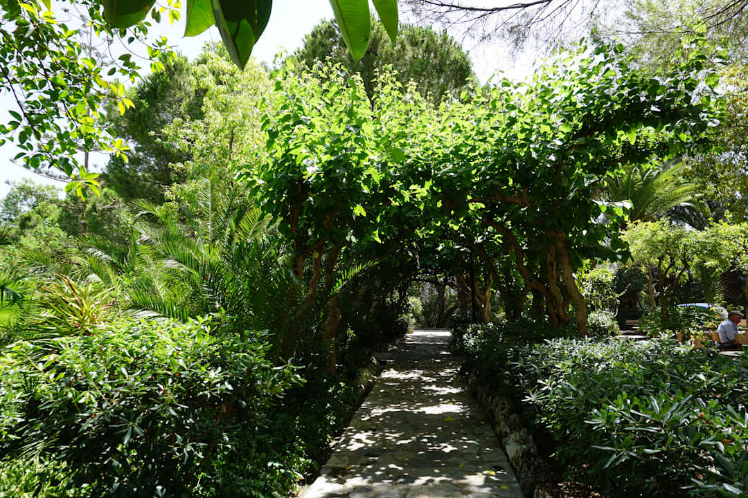 Gartenanlage Apollonia Beach Resort & Spa