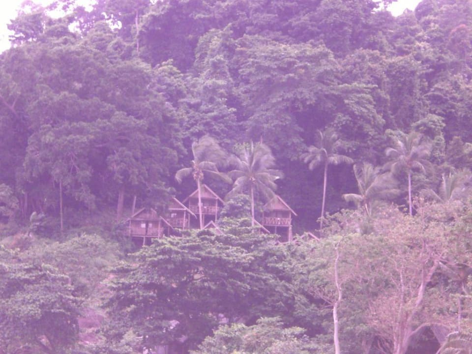 Natur pur Hotel Bhumiyama Resort