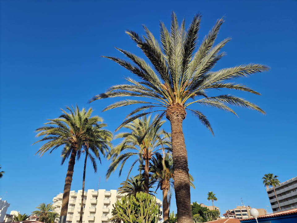 Außenansicht HL Miraflor Suites Hotel