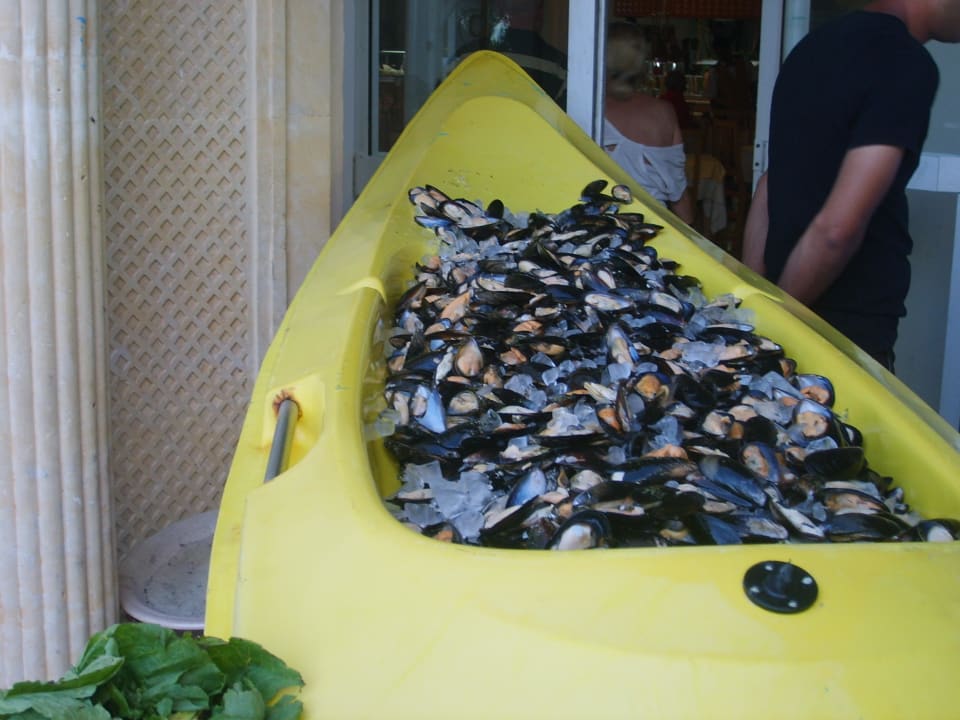Muscheln ganz frisch Hotel El Mouradi Djerba Menzel
