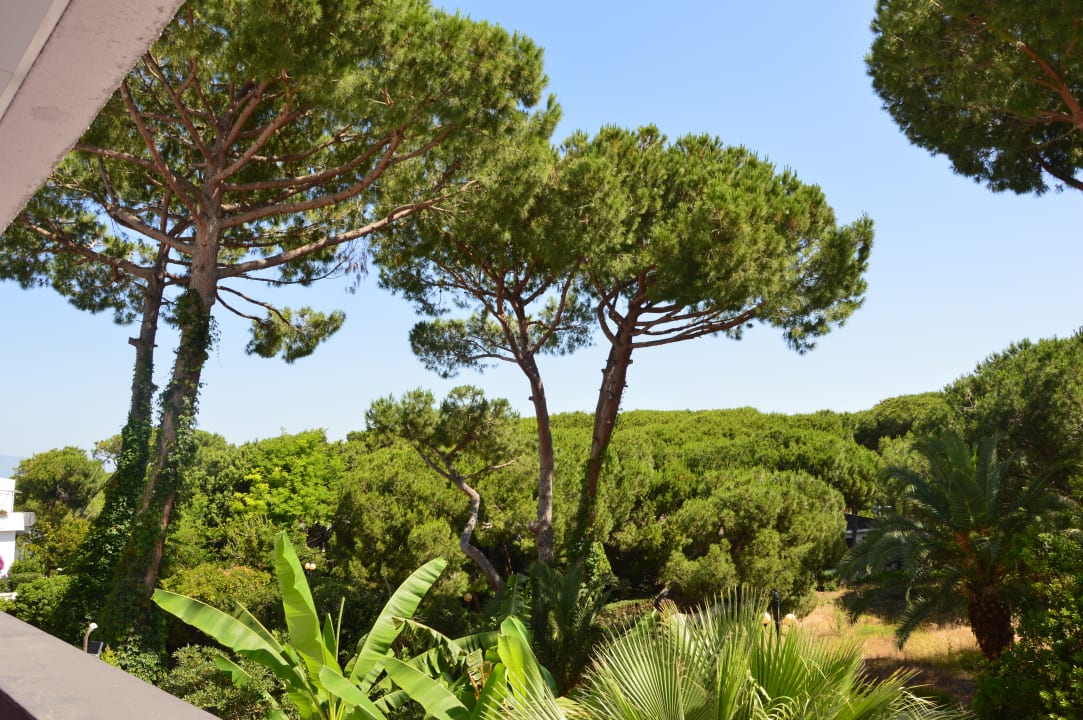 Ausblick Hotel Marina Club