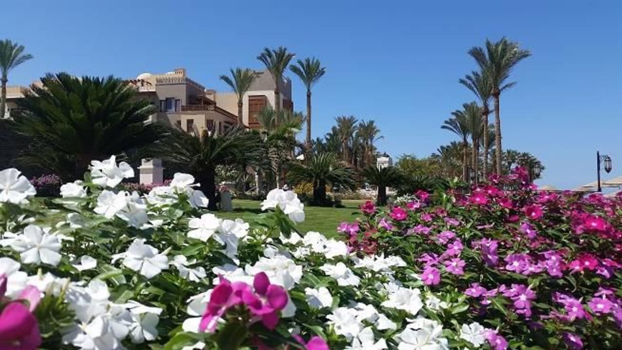 Super Blick aufs Hotel Makadi Spa - Adults only