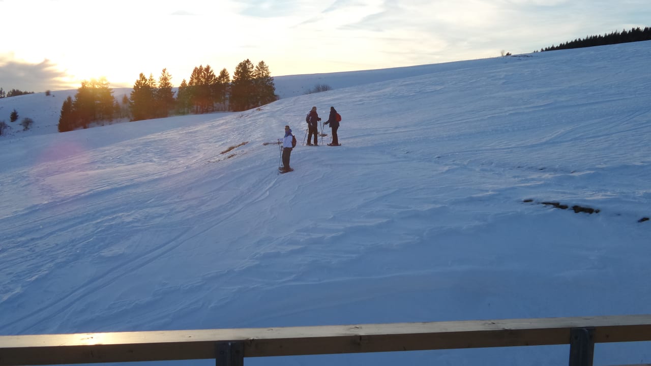 Ausblick vom Balkon derWaldfrieden naturparkhotel