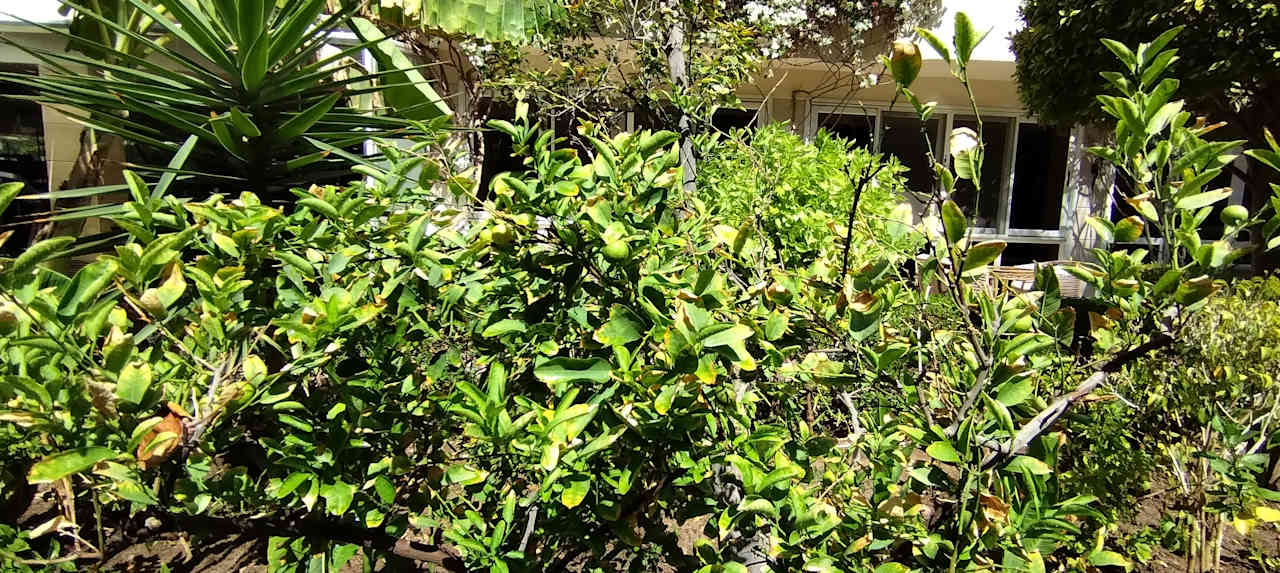 Gartenanlage Bella Vista Resort Hurghada