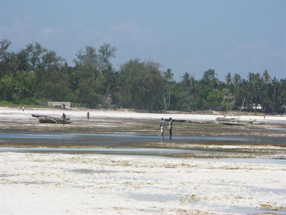 Odpływ Neptune Village Beach Resort & Spa