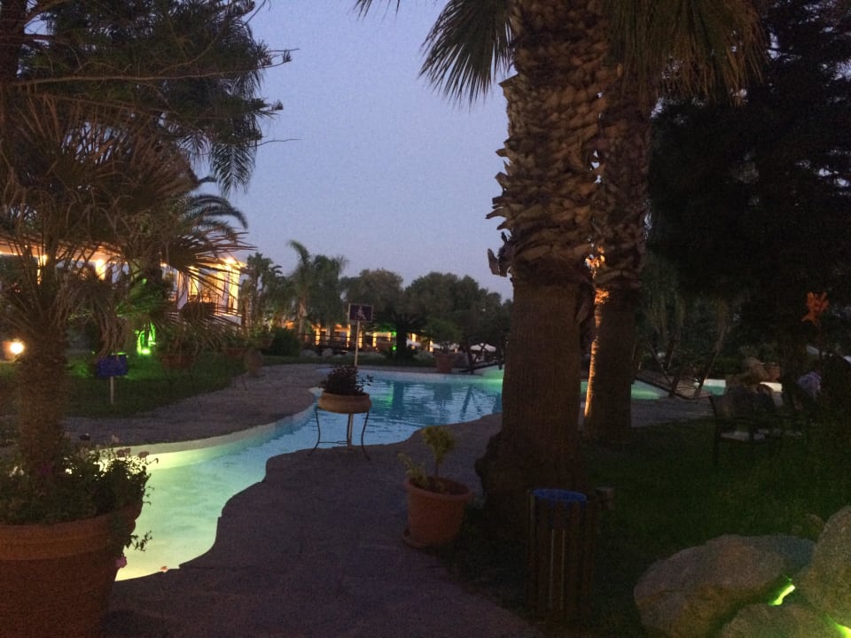 Hotel Calypso Beach Hotel Calypso Beach