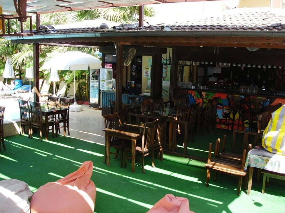 Bar und Lobby Safari Suit Hotel