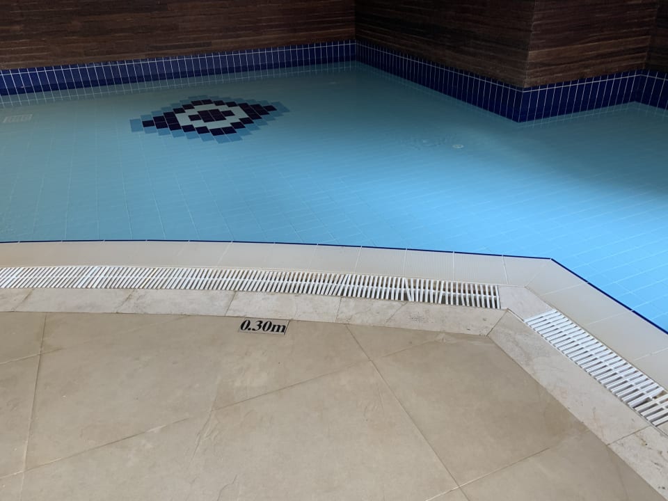 Pool Papillon Ayscha