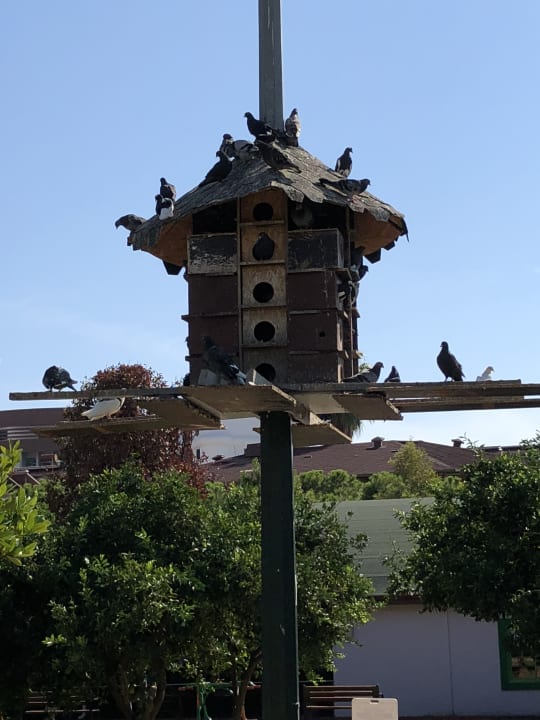Sonstiges Lonicera Resort & Spa Hotel