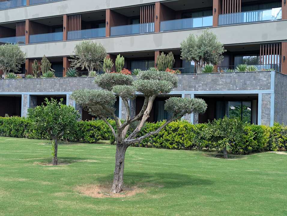 Gartenanlage Jacaranda Luxury Resort