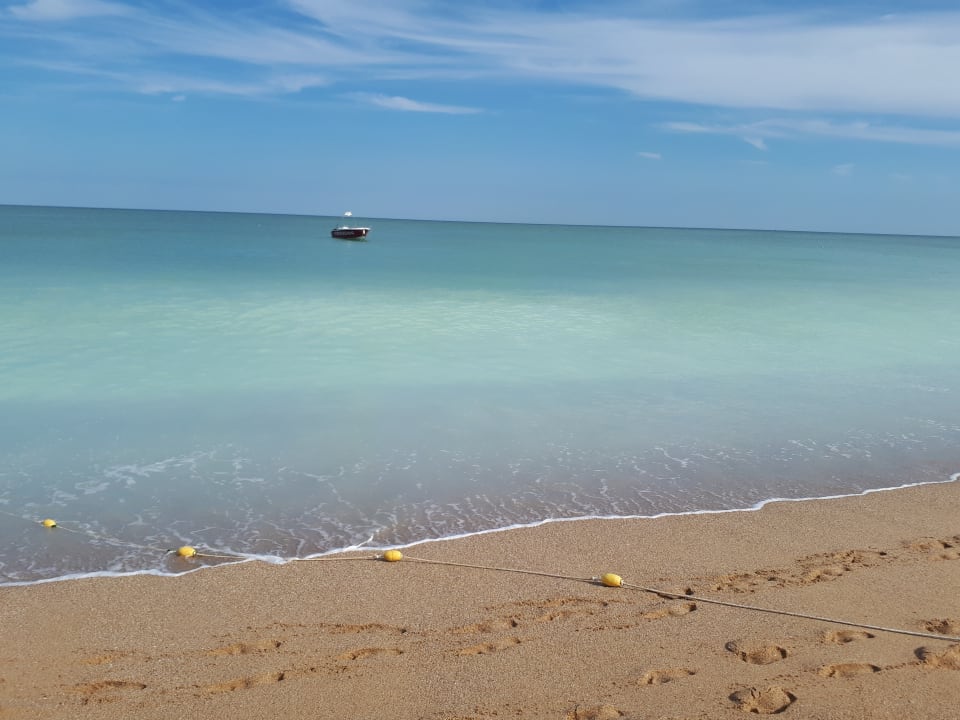 Strand Sentido Marea