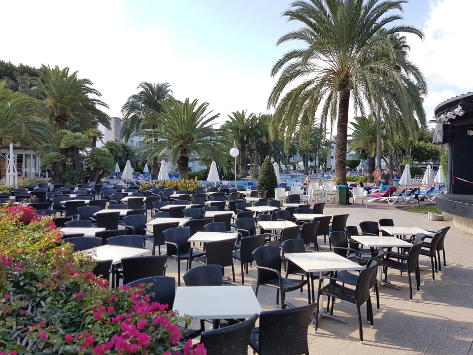 Pool Alcudia Garden Aparthotel