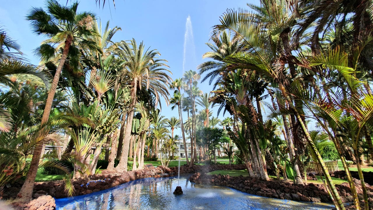 Gartenanlage Hotel Riu Palace Oasis
