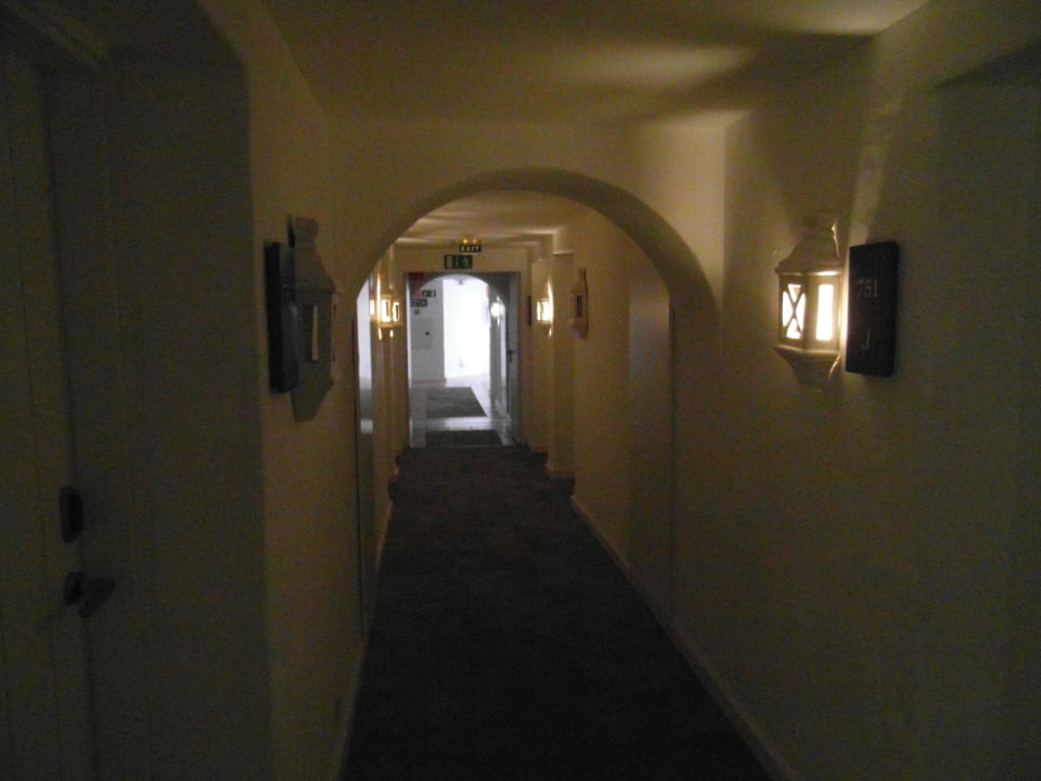 Zimmer Dreams Jardín Tropical